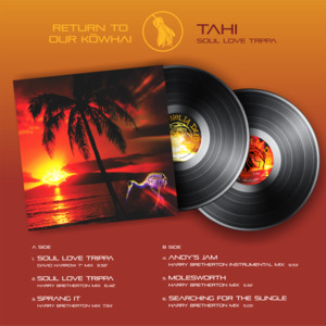 For All Things Alive - Salmonella Dub 3 x 12" Vinyl Pack - myblack.app edition
