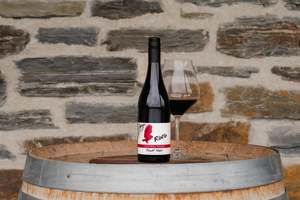 Frontpage: Ruru Cellar Door Pinot Noir 2022