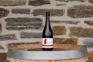 Frontpage: Ruru Reserve Pinot Noir 2020