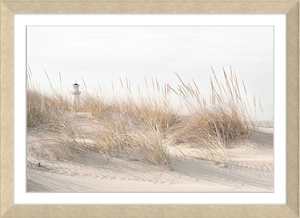 rmljune24: Sand Dunes Art Print