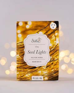 Silver Seed Lights - 10m