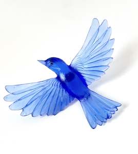 Yellowhead / Mōhua - Cobalt Blue