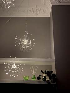 Stellar Haus: Plug-In Starburst Lights