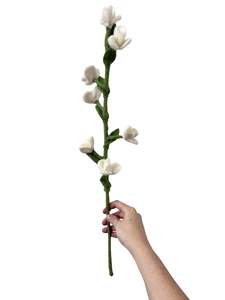 Flower Stem - NZ Felted Wool - White