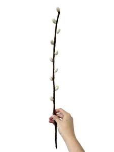 Store17: Bud Stem - NZ Felted Wool - White