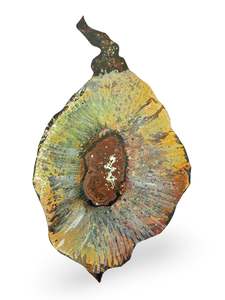 Products: Slippery Elm Seed Pod Canvas Artwork - "Healing" (25101)