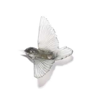 Featured: Tomtit / Kōmiromiro - Grey
