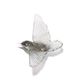 Tomtit / Kōmiromiro - Grey
