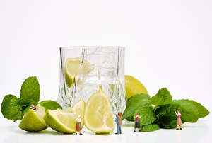 Art: "The Mojito Collective" Print