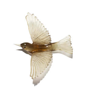 Art: Silvereye / Tauhou - Bronze