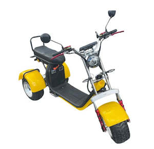 Products: EVa3x2 Dual Motor Tilting eTrike - eMoped