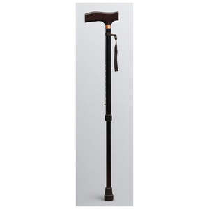 Extendable Walking Stick with Strap