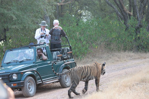 Treasures Of India
