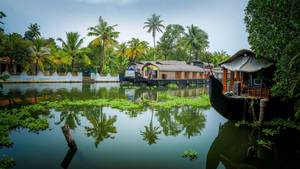 Products: Kerala Delight