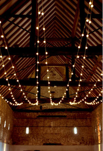 Festoon light string