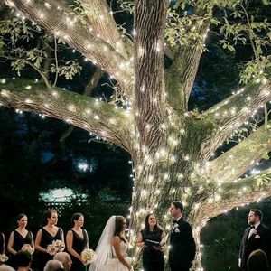 Products: Fairy lights 50 meter string