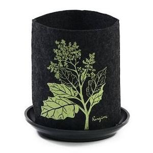 Jo Luping Design: Eco Felt Grow Bag - Rangiora