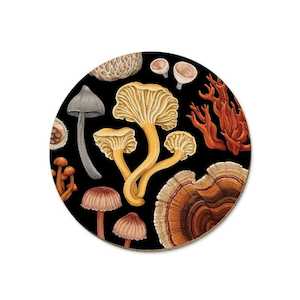 Tanya Wolfkamp: Tanya Wolfkamp Coasters - Fungi