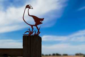 Metalbirds: Metalbird - Pukeko