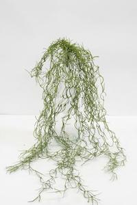 Faux Plants: Tillandsia Hanging Bush
