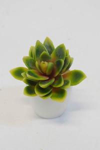 Succulents - faux (various)