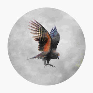 Gifts Under 30: Flying Kea - Small Box Frame
