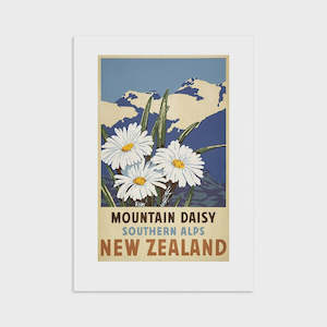 Southern Alps Daisy - Tourist Print