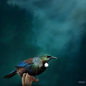 Tui Respite - Julian Hindson