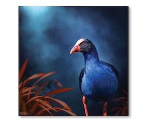 Julian Hindson: Pukeko on the Prowl- Julian Hindson