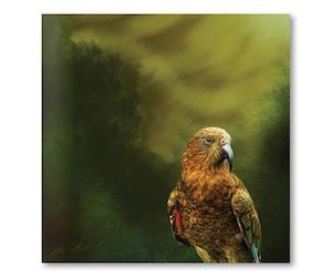 Julian Hindson: Kea Kaha - Julian Hindson