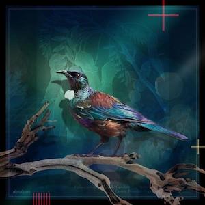 Tui 3 - Julian Hindson