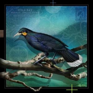 Huia 3 - Julian Hindson