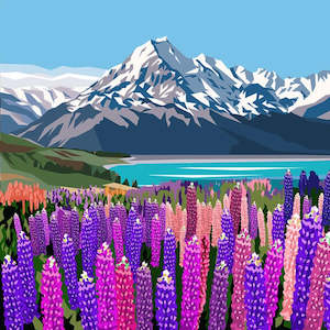 Ira Mitchell: Mt Cook Lupins - Ira Mitchell