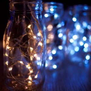 Stellar Haus: Seed Lights - Copper (battery)