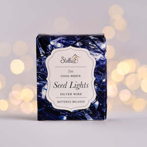 Seed Lights - Silver (battery)
