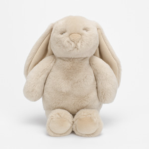 Baby: Littlefoot Bunny - Biscuit