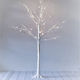 White Birch LED Tree - Medium (SALE)