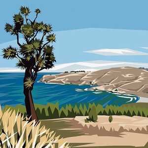 Ira Mitchell: Taylor's Mistake Banks Peninsula- Ira Mitchell