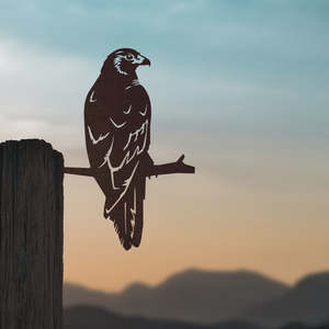Metalbird - Kahu