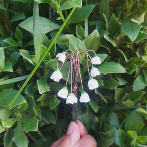 Mini Glass Lily of The Valley