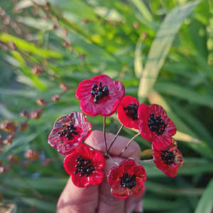 Rainey Design: Mini Glass Poppy Flowers