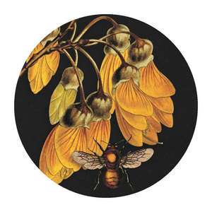 Accessories: Kowhai & Bee Mirror - Tanya Wolfkamp