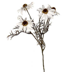 Gifts Under 20: White Echinacea Spray - Faux