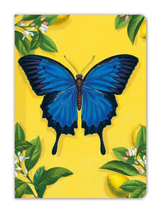 Gifts Under 20: Mini Notebook - Butterfly