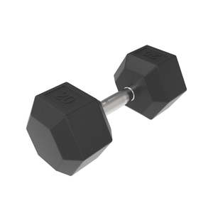 Dumbbells: HD Rubber Hex DB 20kg - Used