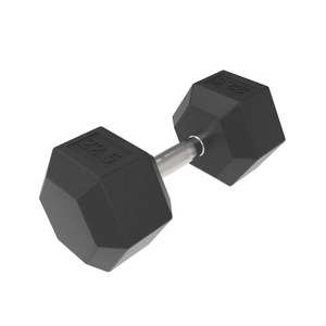 Dumbbells: HD Rubber Hex DB 22.5kg - Used
