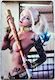 Retro Metal Sign- DC Harley Quinn