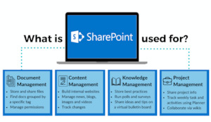 Our Best Sellers: MS365 and SharePoint Overview