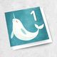 age 1 - narwhal