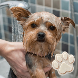 Products: In My Soap Pot DIY Soap BOX – NATURAL DOG SOAP (Special Edition)